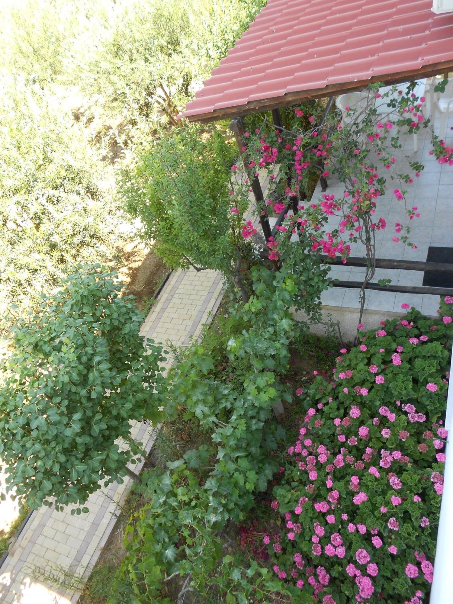 Appartamento Caviri Galissas Esterno foto