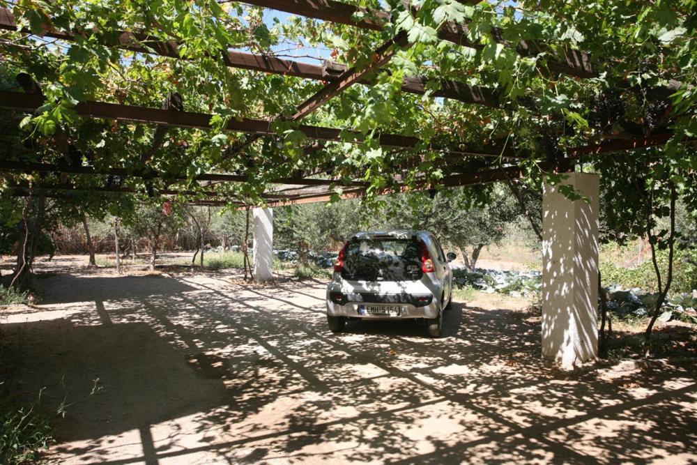 Appartamento Caviri Galissas Esterno foto